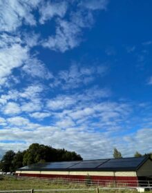 photo_2022-09-27 11.35.24